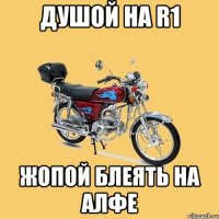 ДУШОЙ НА R1 жопой блеять на алфе