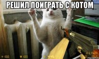 решил поиграть с котом 