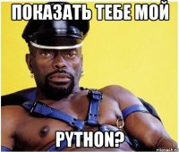 Показать тебе мой Python?