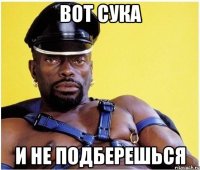 вот сука и не подберешься