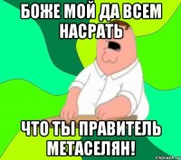 Боже мой да всем насрать Что ты правитель метаселян!