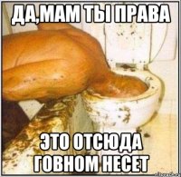 Да,мам ты права это отсюда говном несет