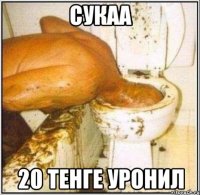 сукаа 20 тенге уронил