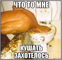 что то мне кушать захотелось