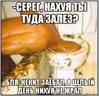 -Серег, нахуя ты туда залез? Бля, Некит заебал, я целый день нихуя не жрал