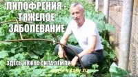 Липофрения - тяжелое заболевание здесь нужна сила земли