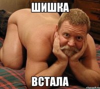 шишка встала