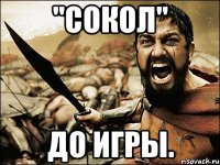 "СОКОЛ" ДО ИГРЫ.