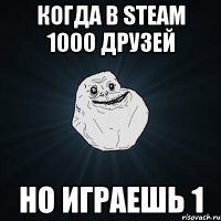 Когда в steam 1000 друзей Но играешь 1