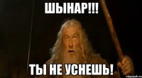 Шынар!!! Ты не уснешь!