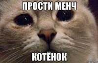 Прости менч Котёнок