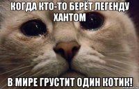 Когда кто-то берёт легенду Хантом в мире грустит один котик!