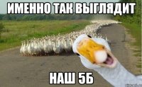 Именно так выглядит наш 5б