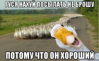 Гуся нахуй посылать не брошу Потому что он хороший