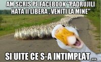 Am scris pe facebook "Padrujili hata ii libera , veniti la mine" Si uite ce s-a intimplat ...