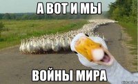 А вот и мы войны мира