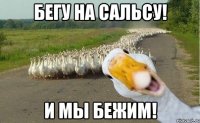 бегу на сальсу! и мы бежим!