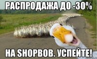 распродажа до -30% на SHOPBOB. Успейте!