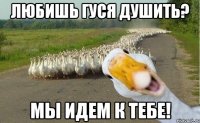 любишь гуся душить? мы идем к тебе!