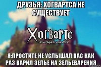 друзья: Хогвартса не существует Я:простите не услышал вас как раз варил зелье на зельеварения