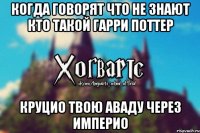 Когда говорят что не знают кто такой Гарри Поттер Круцио твою Аваду через Империо