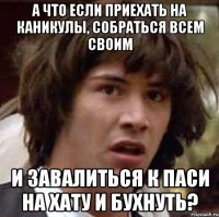 А что если приехать на каникулы, собраться всем своим и завалиться к паси на хату и бухнуть?