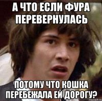 А ЧТО ЕСЛИ ФУРА ПЕРЕВЕРНУЛАСЬ ПОТОМУ ЧТО КОШКА ПЕРЕБЕЖАЛА ЕЙ ДОРОГУ?