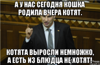 А у нас сегодня кошка Родила вчера котят. Котята выросли немножко, А есть из блюдца не хотят!