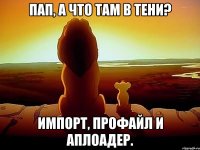 Пап, а что там в тени? Импорт, профайл и аплоадер.