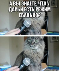 А вы знаете, что у Дарьи есть режим ебанько? 