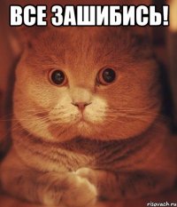 Все зашибись! 