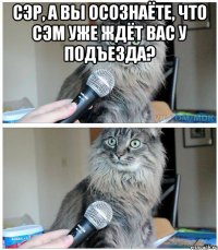 Сэр, а вы осознаёте, что Сэм уже ждёт вас у подъезда? 