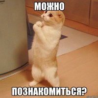 можно познакомиться?