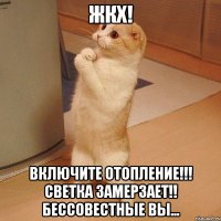 ЖКХ! включите отопление!!! Светка замерзает!! бессовестные вы...