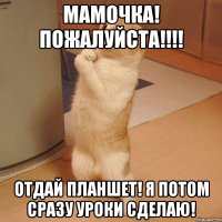 Мамочка! Пожалуйста!!!! Отдай планшет! Я потом сразу уроки сделаю!