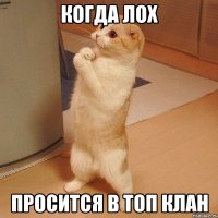 когда лох просится в топ клан