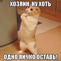 Хозяин, ну хоть одно яичко оставь!