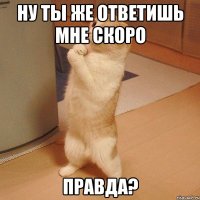 ну ты же ответишь мне скоро правда?