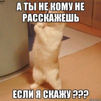 а ты не кому не расскажешь если я скажу ???