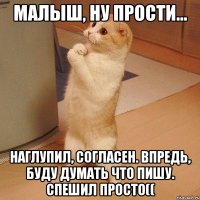 малыш, ну прости... наглупил, согласен. впредь, буду думать что пишу. спешил просто((