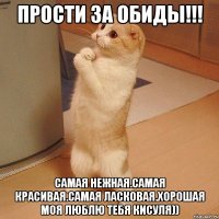 прости за обиды!!! самая нежная.самая красивая.самая ласковая.хорошая моя люблю тебя кисуля))