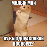 Милый мой Ну выздоравливай поскорее:*