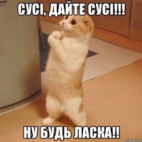 cусі, дайте сусі!!! ну будь ласка!!