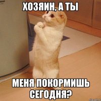 Хозяин, а ты меня покормишь сегодня?