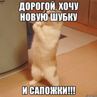 Дорогой, хочу новую шубку и сапожки!!!