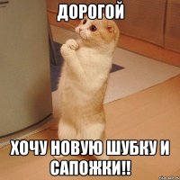 Дорогой хочу новую шубку и сапожки!!