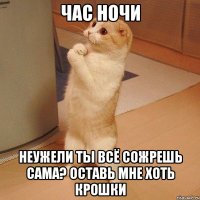 час ночи неужели ты всё сожрешь сама? Оставь мне хоть крошки