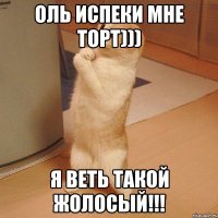 Оль испеки мне торт))) Я веть такой ЖОЛОСЫЙ!!!