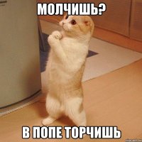 молчишь? в попе торчишь