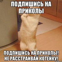 Подпишись на Приколы Подпишись на Приколы! Не расстраивай котейку!